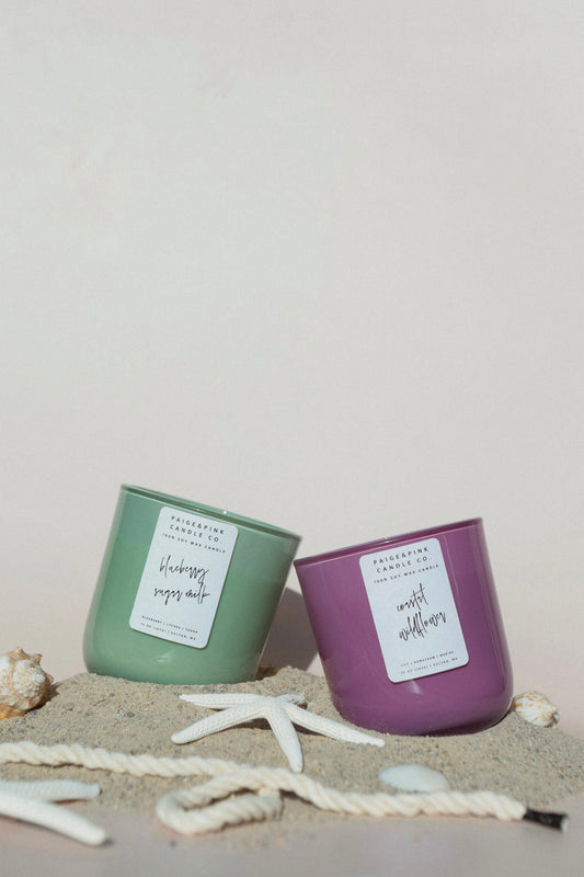 blueberry sugar milk 10oz candle - special edition