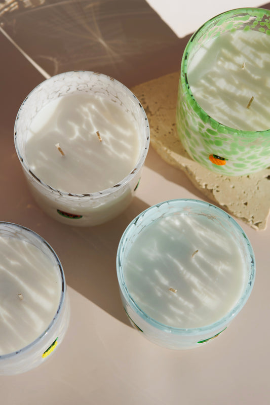 coconut paradise 12.5oz candle - special edition